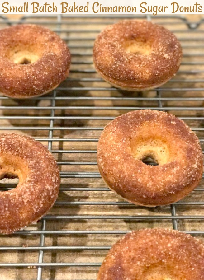 Small Batch Baked Cinnamon Sugar Donuts