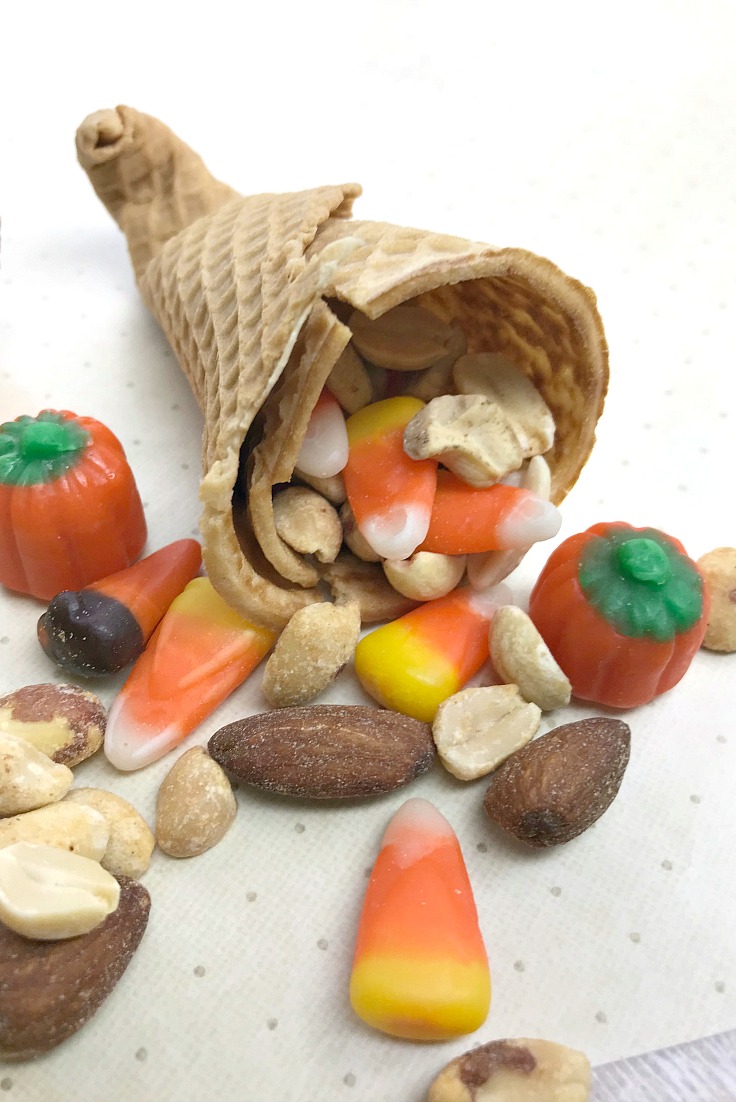 Here’s a fun food craft project for you and the kids to make for the whole family to enjoy for Thanksgiving. Everyone is going to love these Sugar Cone Cornucopias. Enjoy and have fun! via @skinnydesserts