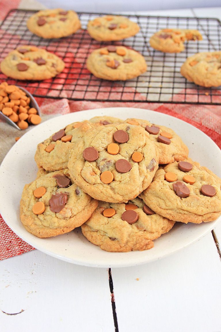 Butterscotch and Chocolate Chip Cookies