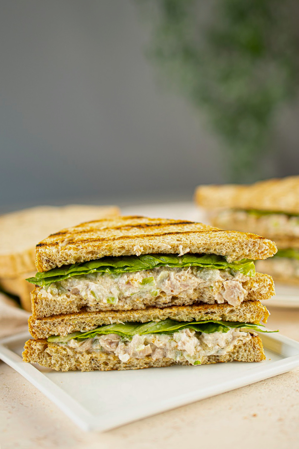 Tuna on Toast - Pam's Daily Dish