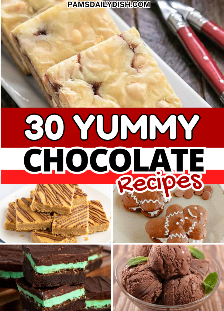 Roundup Image for Chocolate Recipes