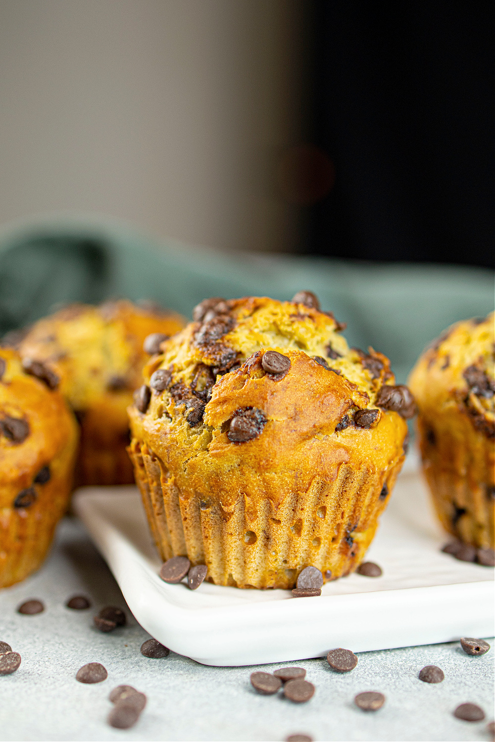 Chocolate Chip Avocado Muffins - Pam's Daily Dish