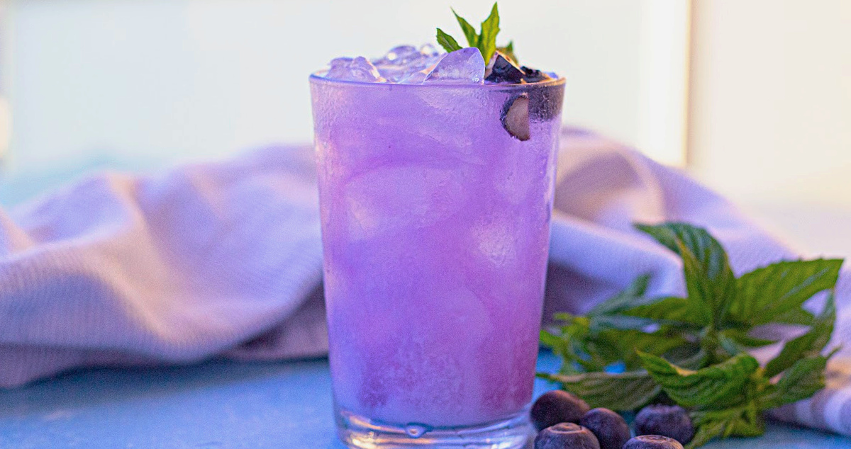 Blueberry Refresher Drink - Pam's Daily Dish