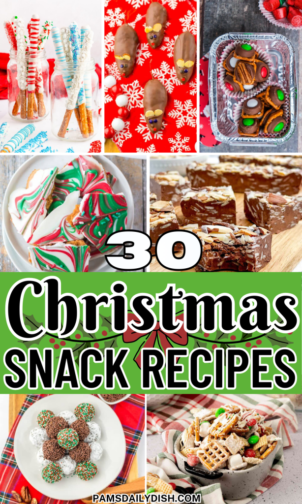 Roundup Image for Christmas Snack Recipes