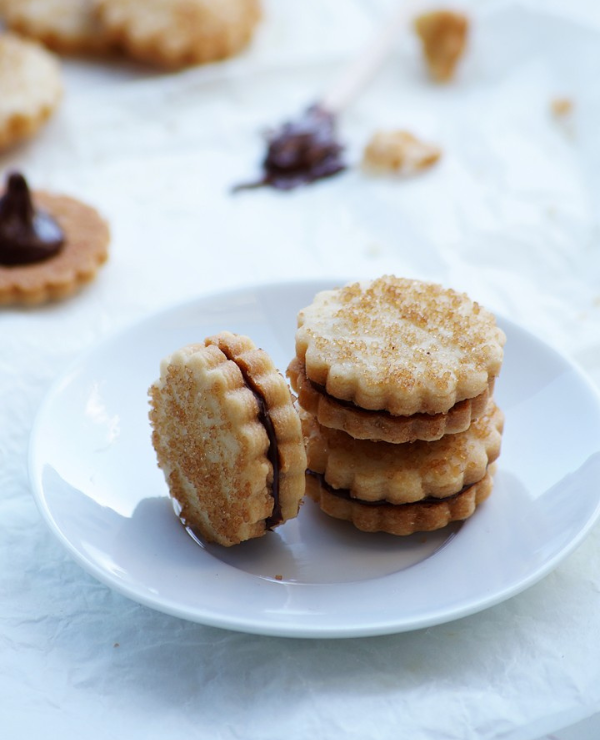 Roundup Image for Christmas Cookie Recipes