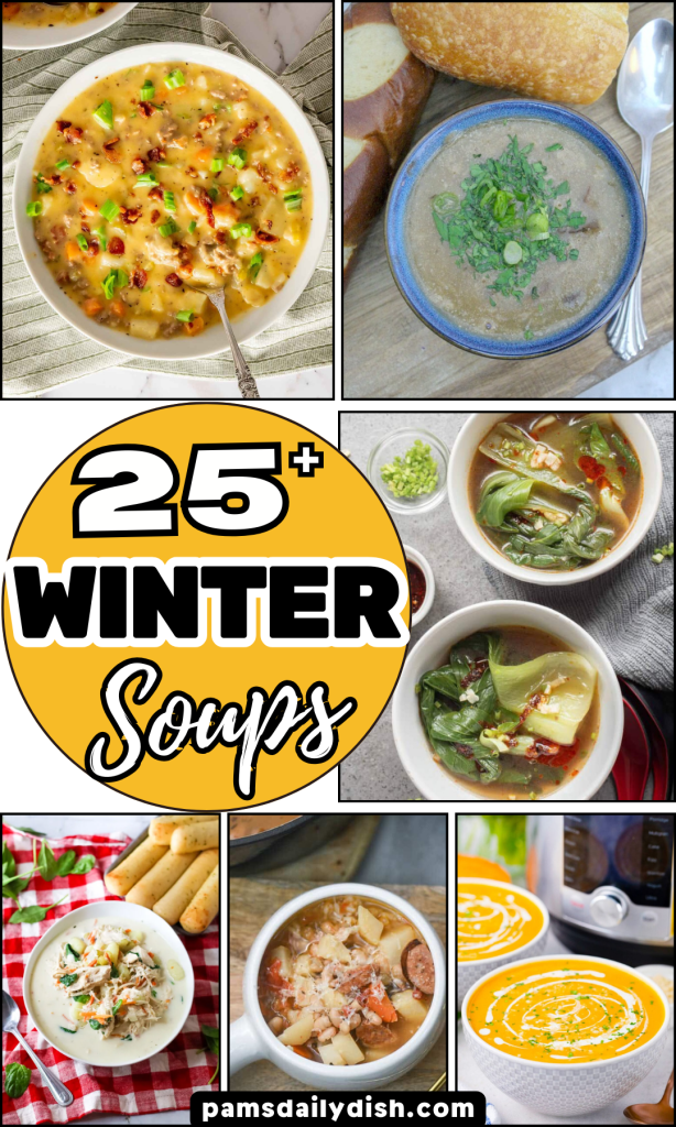 Roundup Image for Winter Soups