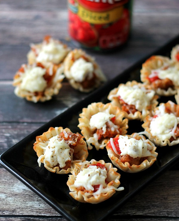 Roundup image for Lasagna Recipes